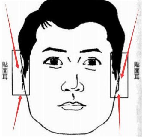 耳垂小 面相|面相入门